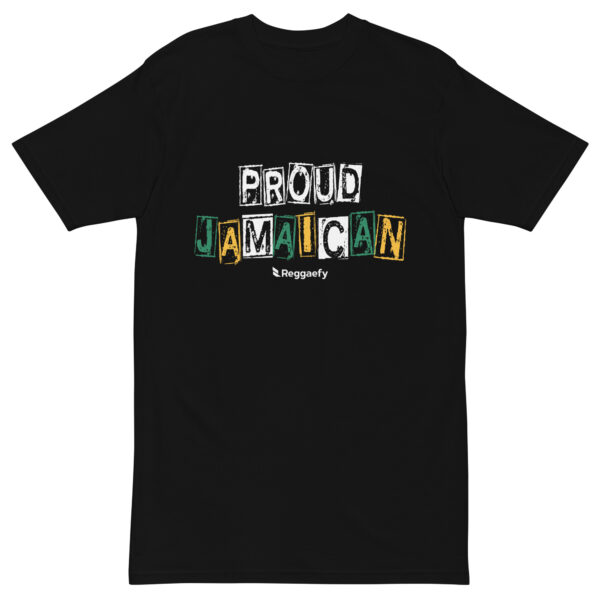 mens-premium-heavyweight-tee-black-front-695de0f3e782c.jpg